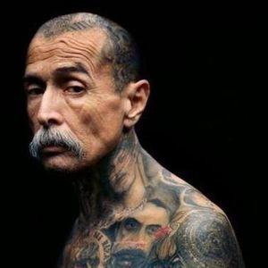 Meet your Posher, Hector